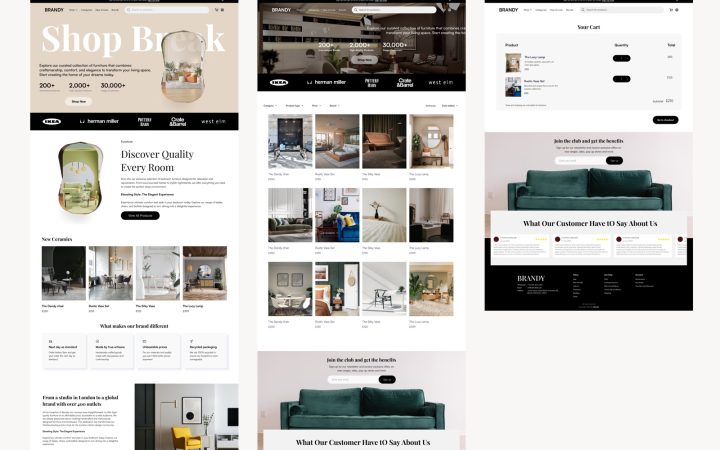 Brandy screen design